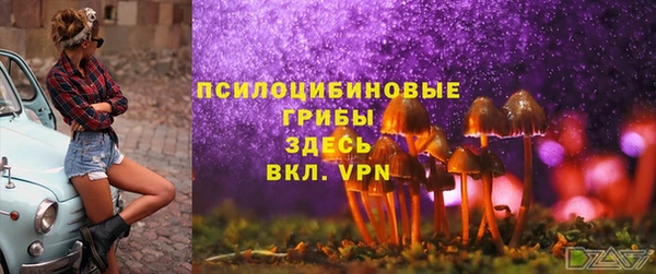 прущий лед Армянск