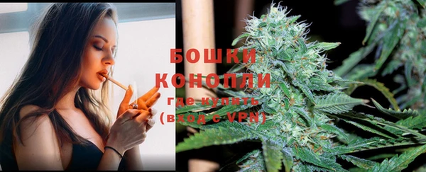 спайс Аркадак