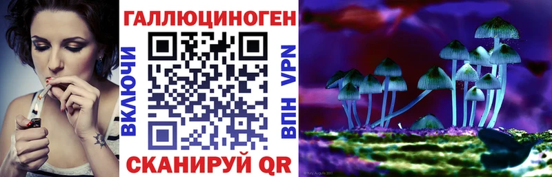 магазин продажи   Рыбное  Галлюциногенные грибы Magic Shrooms 